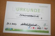 Stromdetektive (15).jpg