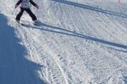 IMG_5959.JPG