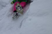 Schneeschuhwandern (12).jpg