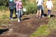 20160922_114816.jpg