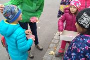 IMG_20171110_153100.jpg