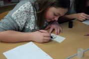 BE3_Workshop_Chemogramme (4).jpg