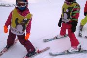 IMG_0254.JPG