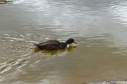 P1220108.JPG