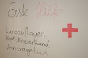 Erste-Hilfe-Workshop (8).jpg