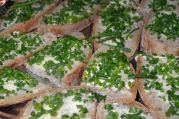 DSC08503.JPG