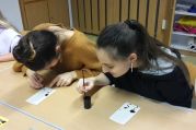 BE3_Workshop_Chemogramme (8).jpg