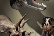 Dinos.jpg