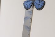 IMG-20220308-WA0016.jpg
