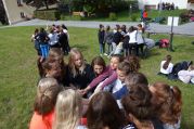 DSC07987.jpg