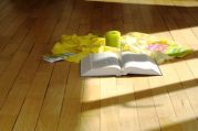 DSC07741.JPG