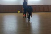 IMG-20160307-WA0000.jpg