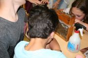 Imker (12).jpg