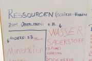 Umweltprojekttag (2).jpg