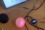 IMG_6817.jpeg