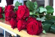 IMG_7919 - Kopie.jpg