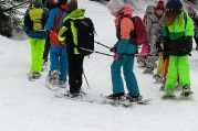 Projektwoche_1.Kl (12).jpg