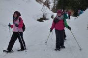 Schneeschuhwandern (25).jpg