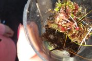 20160922_120610.jpg