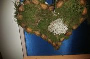 20161003_140936.jpg