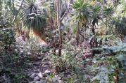 Botanischer Garten (6).jpg