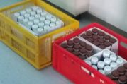 Landwirtschaft macht Schule (2).jpg