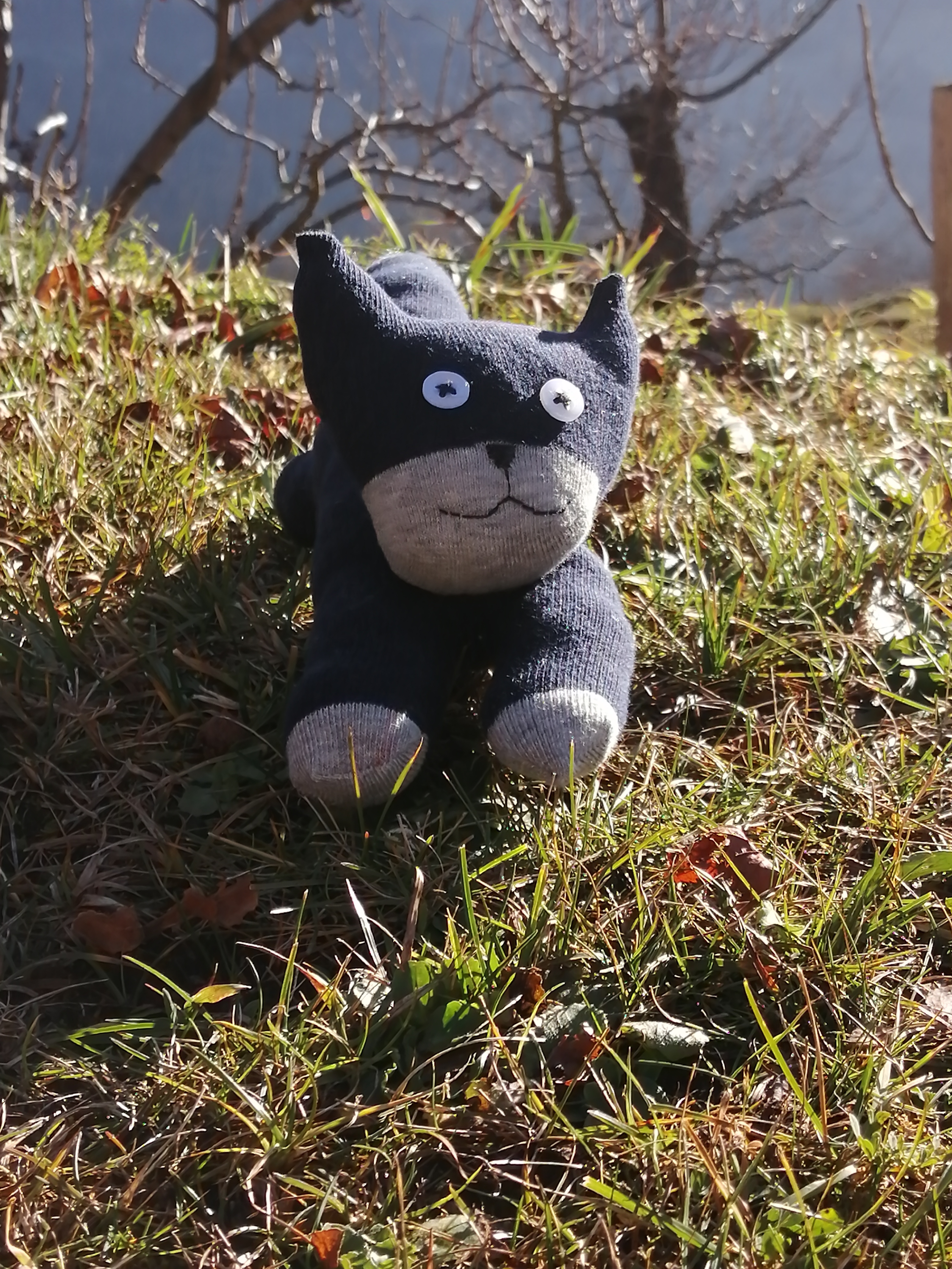 IMG_20201117_100802 1.jpg