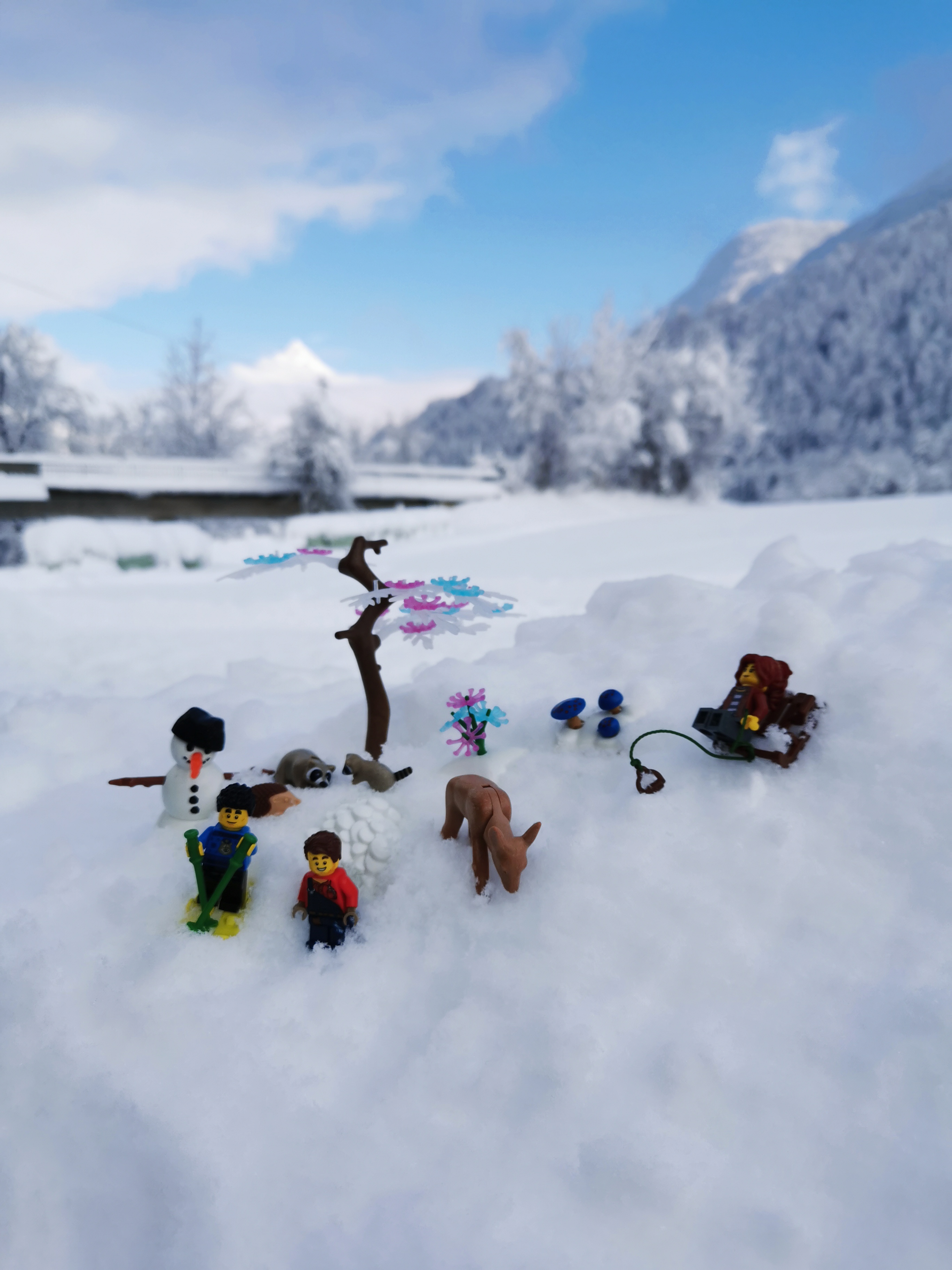 ein Tag im Schnee.jpg